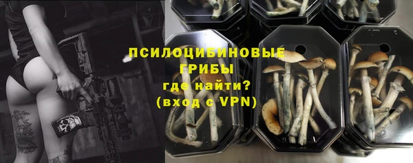 Альфа ПВП Алзамай