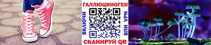 Псилоцибиновые грибы Cubensis  OMG tor  Ковылкино 